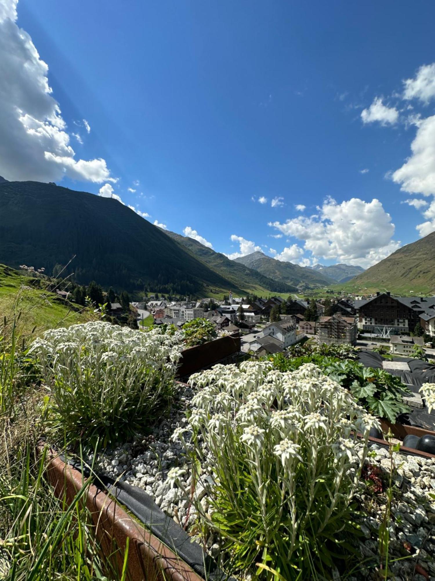Villa Basecamp Andermatt Extérieur photo